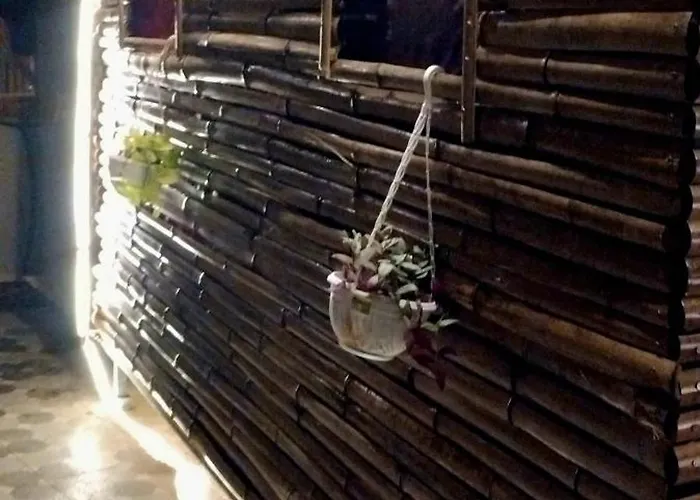 Mystic Vibes Fitness -conscious Living Commune *