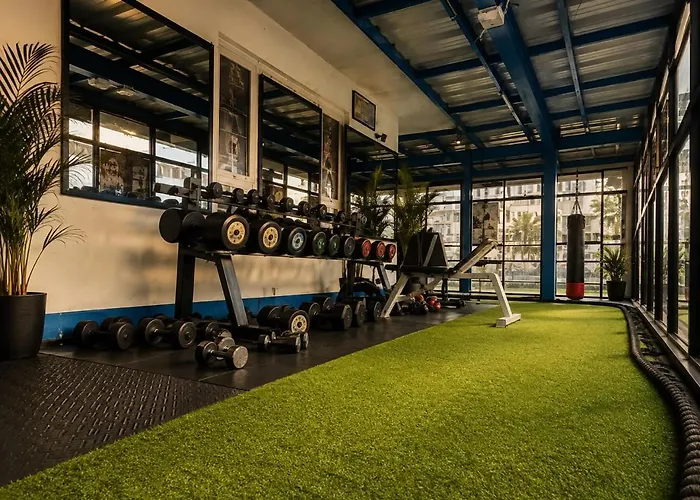 Mystic Vibes Fitness -conscious Living Commune